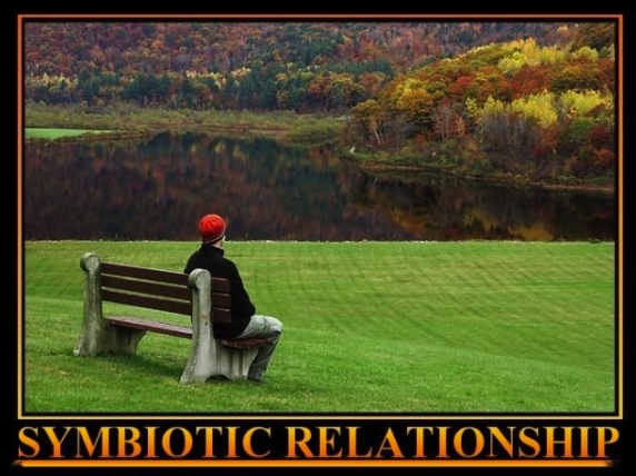symbiotic relationship